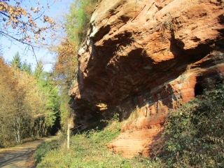 WALDHOUSE - CIRCUIT TRANSFRONTALIER-moselle