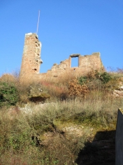 WALDHOUSE - CIRCUIT TRANSFRONTALIER-moselle