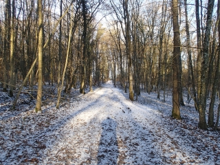 MECLEUVES -  PETITE PROMENADE A PARTIR DU VILLAGE-moselle