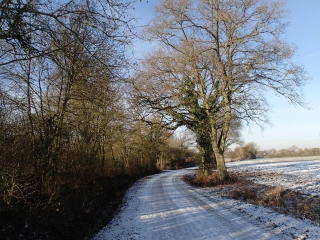 MECLEUVES -  PETITE PROMENADE A PARTIR DU VILLAGE-moselle