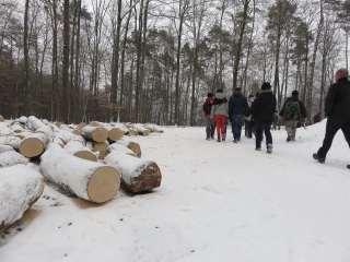BAERENTHAL- PROMENADE HIVERNALE-moselle