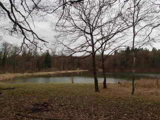 CHARLEVILLE-SOUS-BOIS - FORET DOMANIALE DE VILLERS-BEFEY-moselle