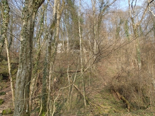 VAUX - PROMENADE DE LA VALLEE DE LA MANCE-moselle