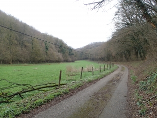 GRAVELOTTE - FORET DOMANIALE DU GRAOULLY-moselle