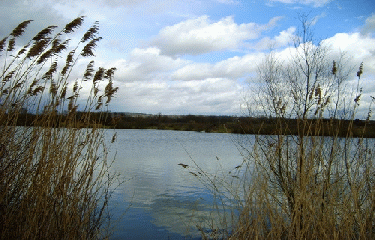 KOENIGSMAKER-moselle