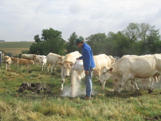 ORMERSVILLER ET FERME LANG-moselle