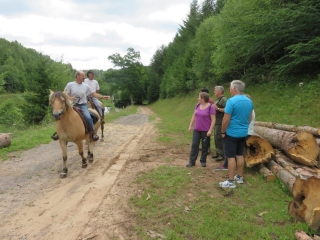 AUTOUR DU RANCH DES BISONS-moselle