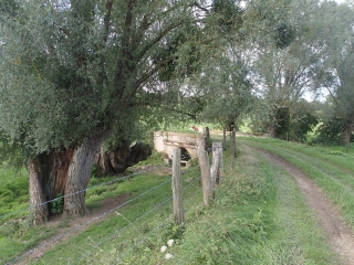 VIGY - LE CHEMIN DE LA REINE-moselle