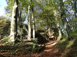 LONGEVILLE-LES-SAINT-AVOLD -  FORET ET LIGNE MAGINOT-moselle