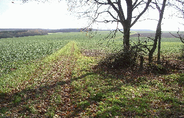 TRESSANGE - BURE-moselle