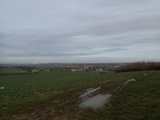 MECLEUVES (BOUCLE MECLEUVES - SORBEY - PONTOY)-moselle