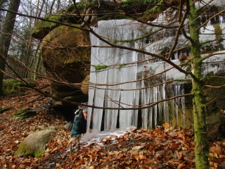 AUTOUR DE BAERENTHAL-moselle