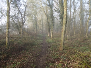 MECLEUVES - CIRCUIT DU CHARMOIS-moselle