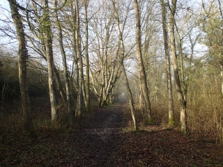 MECLEUVES - CIRCUIT DU CHARMOIS-moselle