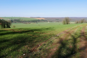 DE LA GORZIA AU RUPT DE MAD-moselle