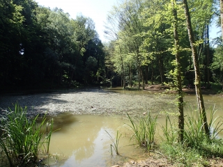 AUDUN-LE-TICHE - CIRCUIT DE L ELLERGRONN ET DE LA BORNE DE FER-moselle