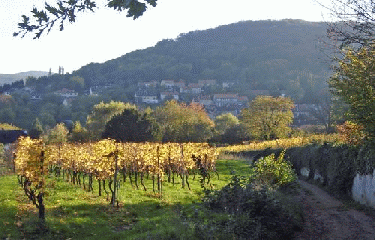 GR5 - PARTIE 1-moselle