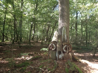 WALDWEISTROFF - SENTIER ST HUBERT-moselle