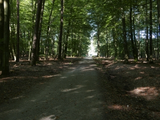 DE HOMBOURG-HAUT A REMILLY-moselle