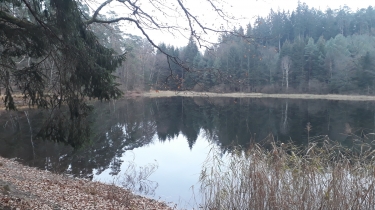 BITCHE - ETANG DU HASSELFURTH ET DE L ENTENBAECHEL - COL DU WIDERSCHALL ET HOCHKOPF-moselle