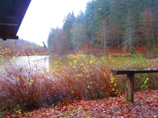 BALADE AUTOUR DE HORNBACH EN ALLEMAGNE-moselle