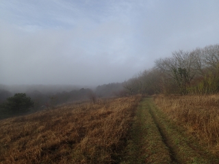 SAULNY - CIRCUIT PANORAMIQUE-moselle