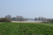DE LINDRE-BASSE A TARQUIMPOL LE LONG DE L ETANG DE LINDRE-moselle