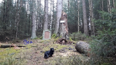 REYERSVILLER-SCHWANGERBACH - AUTOUR DU RUNDENKOPF-moselle