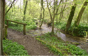 OUEST DE METZ-moselle