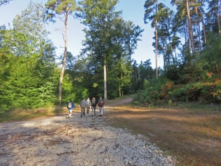 LA VALLEE DU HORNBACH ENTRE HANVILLER ET WALSCHBRONN