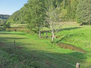 LA VALLEE DU HORNBACH ENTRE HANVILLER ET WALSCHBRONN-moselle