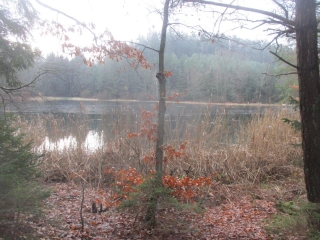BALADE DEPUIS L ETANG DE HASSELFURTH VERS LEMBERG-moselle