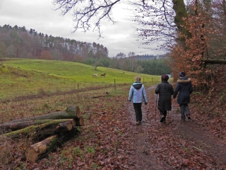 PETITE BALADE ENTRE HASPELSCHIEDT ET ROPPEVILLER-moselle