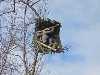 BALADE AUTOUR DE GLASENBERG LAMBACH-moselle