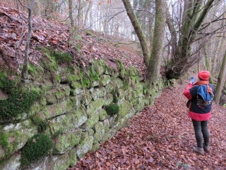 BALADE AUTOUR DE GLASENBERG LAMBACH-moselle