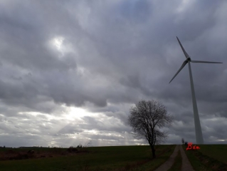 PETIT-TENQUIN ET LE CHENE DE PETIT ROHRBACH-moselle