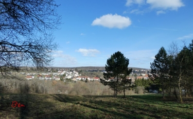 REMELFING - CIRCULAIRE DU CHATEAU DE REMELFING-moselle