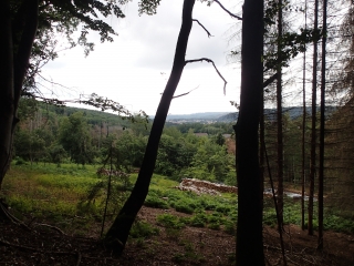 CIRCUIT LA FORET DU WARNDT-moselle