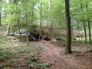 CIRCUIT LA FORET DU WARNDT-moselle