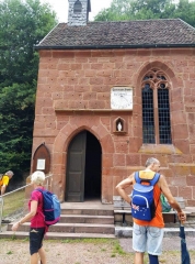 BALADE DE L ETANG DE HASSELFURTH A L ETANG DE MOUTERHOUSE-moselle