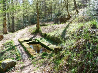 PHALSBOURG - CIRCUIT DES LAVOIRS-moselle