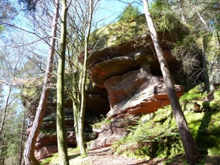 PHALSBOURG - CIRCUIT DES LAVOIRS-moselle