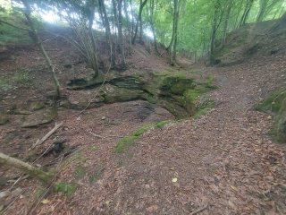 AUTOUR D ESCHVILLER ET DE SON MOULIN-moselle