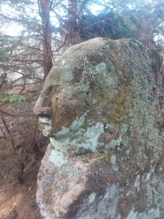 DE JOCKELSHOF VERS LES SCULPTURES INSOLITES DU CHATEAU SONIS