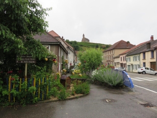 LA BALADE DES SIX ROSES AUTOUR DE SAINT-QUIRIN-moselle
