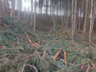 DECOUVERTE DES TRAVAUX DE PERCEMENT DU TUNNEL DE LA VOIE FERREE DE BRENSCHE-moselle