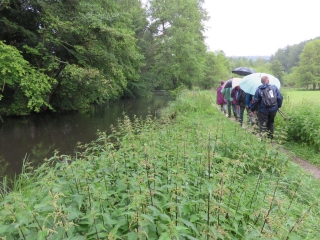 BALADE AUTOUR DE BAERENTHAL - RAMSTEIN ET PHILIPPSBOURG-moselle