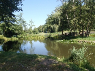FALCK ET LA FORET DE LA HOUVE-moselle