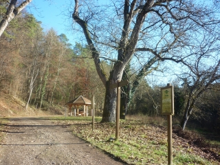 BOULAY - EOLIENNES ET FORET DU BUCHWALD-moselle