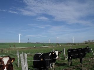 BIONVILLE-SUR-NIED-moselle